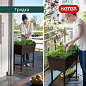 Готовая грядка Урбан Блумер (Urban Bloomer) коричневый