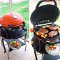 Газовый гриль O-GRILL 500M green