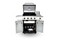 Газовый гриль Nexgrill Prime PUMA 4B