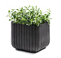 Кашпо Куб L (Keter сube planter L) антрацит